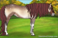 Horse Color:Painted Bay Onyx 