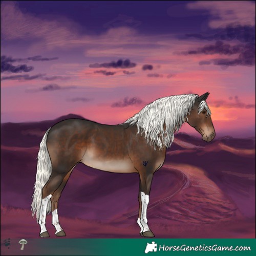Horse Color:Liver Chestnut Mushroom Tobiano