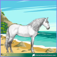 Horse Color:Gray Platinum Silver Brown Roan Dun 