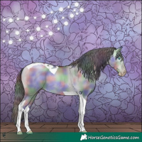 Horse Color:Gray Platinum Nacre Buckskin Pearl Dun Tobiano 