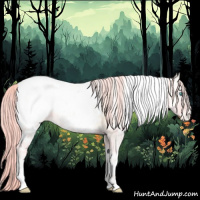 Horse Color:Watercolor White Spotted Gold Cream Champagne Ice Pearl Onyx Appaloosa Rabicano 