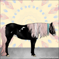Horse Color:Watercolor White Spotted Gold Champagne Ice Onyx Appaloosa Rabicano 