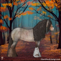 Horse Color:Liver Red Roan 
