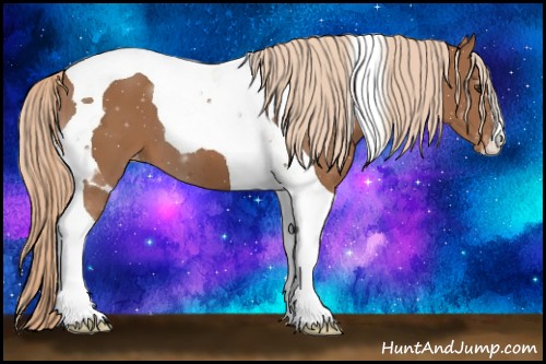 Horse Color:Chestnut Tobiano Appaloosa 