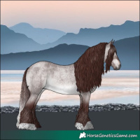 Horse Color:Gray Platinum Chocolate Brown Roan Dun Brindle 