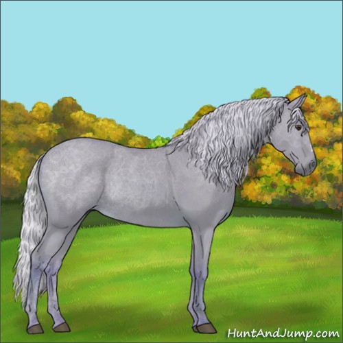 Horse Color:Watercolor Silver Bay Rabicano