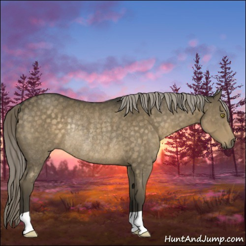 Horse Color:Chocolate Palomino Mushroom Rabicano 