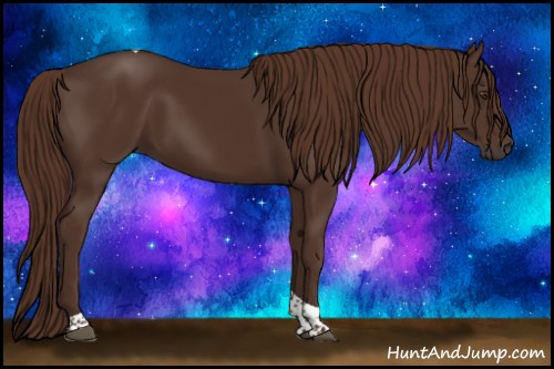 Horse Color:Liver Chestnut Tobiano 