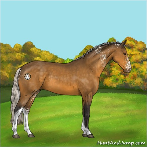 Horse Color:White Spotted Silver Buckskin Tobiano Rabicano 