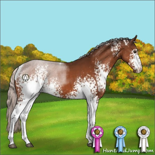 Horse Color:White Spotted Silver Brown Tobiano 