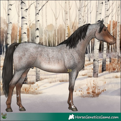 Horse Color:Liver Red Roan 
