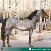 Horse Color:Liver Red Roan 