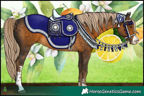 Horse Color:Chocolate Palomino Sabino 