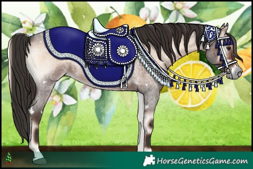 Horse Color:White Spotted Liver Red Onyx Roan 