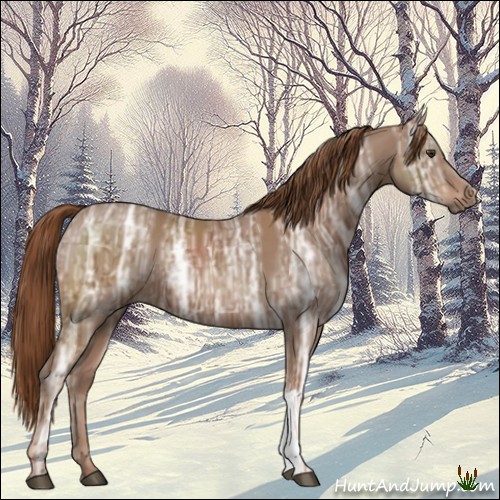 Horse Color:Chestnut Ice 