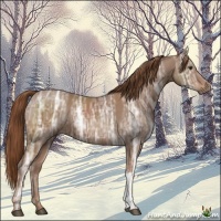 Horse Color:Chestnut Ice