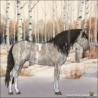 Horse Color:Liver Red Dun Ice Tobiano 