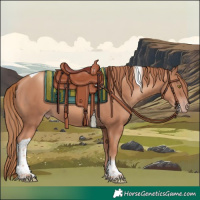 Horse Color:Gold Champagne Tobiano