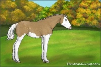 Horse Color:Silver Smoky Black Splash 