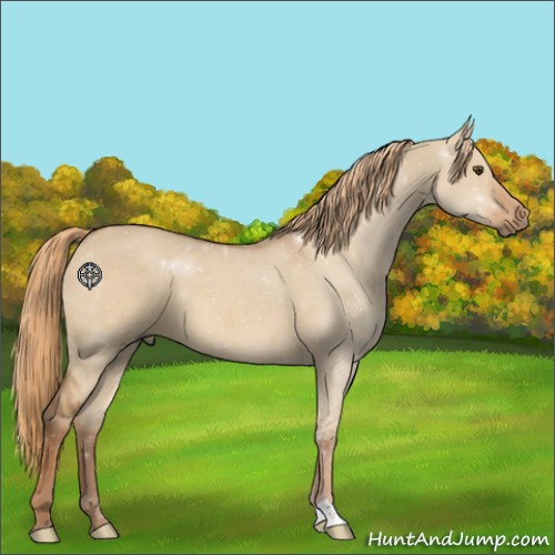 Horse Color:Red Dun 