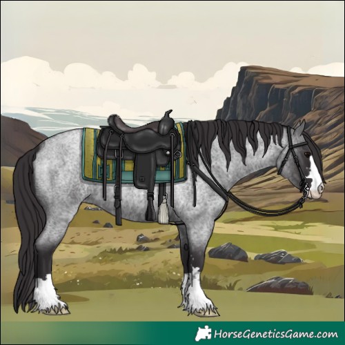 Horse Color:Smoky Blue Roan 