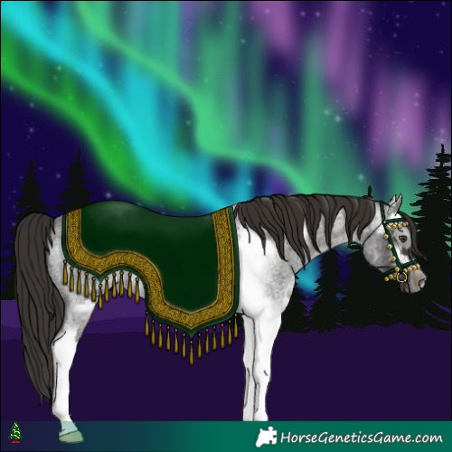 Horse Color:White Spotted Liver Red Roan Frame 