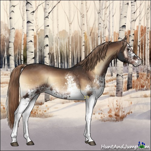 Horse Color:White Spotted Liver Red Onyx 