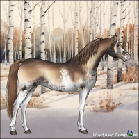 Horse Color:White Spotted Liver Red Onyx