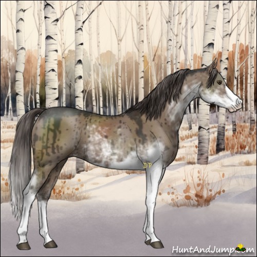 Horse Color:Liver Red Dun Sabino Brindle