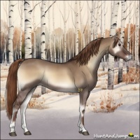 Horse Color:Liver Red Dun Onyx 