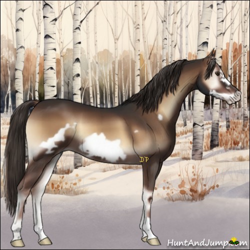 Horse Color:Liver Red Onyx Frame 