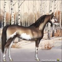 Horse Color:Liver Red Onyx Frame