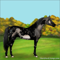 Horse Color:Void Blue Onyx Sabino Tobiano 