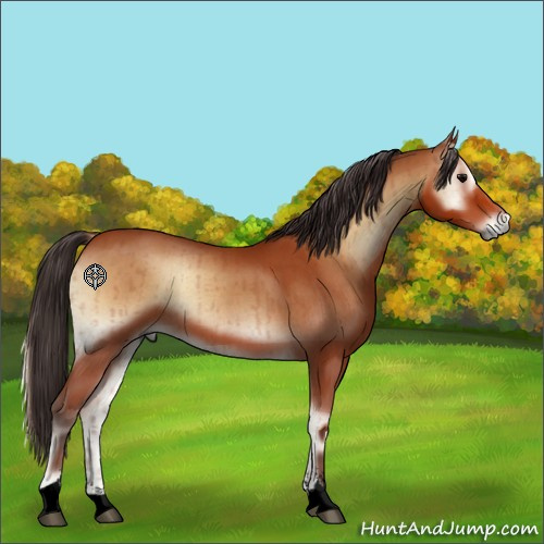 Horse Color:Void Brown Roan Onyx Sabino Brindle 