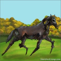 Horse Color:Brown Roan 