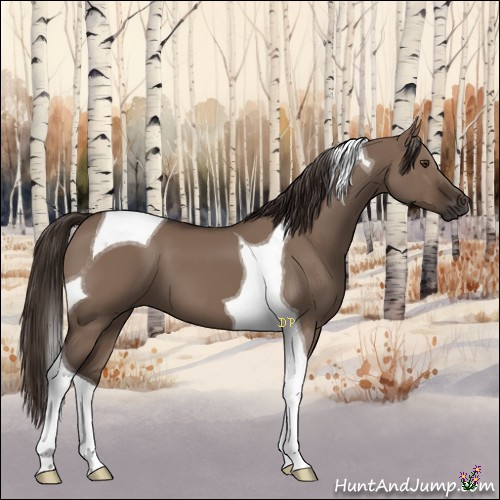 Horse Color:Liver Red Dun Tobiano