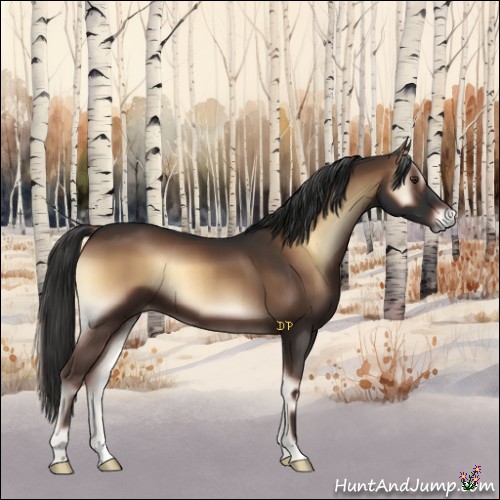 Horse Color:Liver Red Onyx 