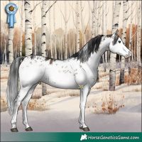 Horse Color:White Spotted Liver Red Onyx Sabino 