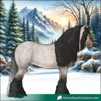 Horse Color:Bay Roan Dun Rabicano