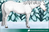 Horse Color:White Spotted Brown Chinchilla Snowflake Varnish