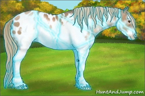 Horse Color:Thunderstruck White Spotted Liver Chestnut Pearl Frame Appaloosa 