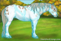 Horse Color:Thunderstruck White Spotted Liver Chestnut Pearl Frame Appaloosa 