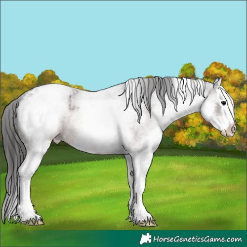Horse Color:White Spotted Brown Ice Roan Splash Varnish 