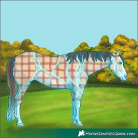 Horse Color:Thunderstruck Plaid  Sable Cream Champagne Dun Sabino Splash 