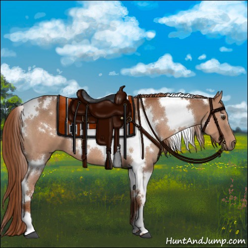 Horse Color:White Spotted Red Roan 
