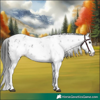 Horse Color:Brown Sabino 