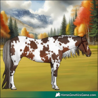 Horse Color:White Spotted Liver Chestnut 
