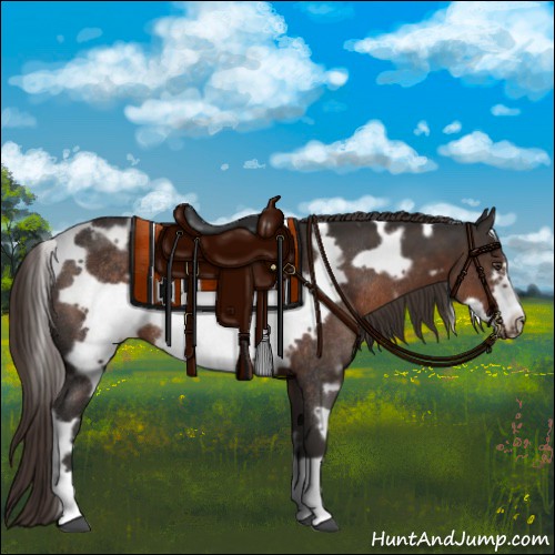 Horse Color:White Spotted Liver Chestnut Frame Rabicano 