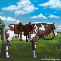 Horse Color:White Spotted Liver Chestnut Frame Rabicano 