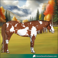 Horse Color:White Spotted Chestnut Frame 